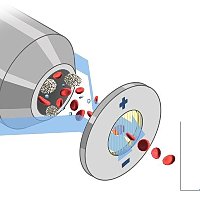 gematologicheski