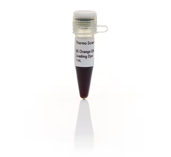 Краситель для нанесения на гель Orange DNA Loading Dye, 6X