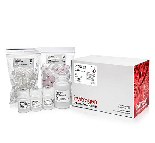 Набор PureLink PCR Purification Kit
