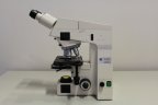 PROMOTION: Carl Zeiss Axioskop 20 451487 Binocular Transmitted light microscope