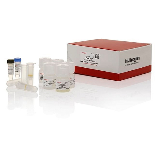 Набор для выделения ДНК, PureLink Genomic DNA Mini Kit