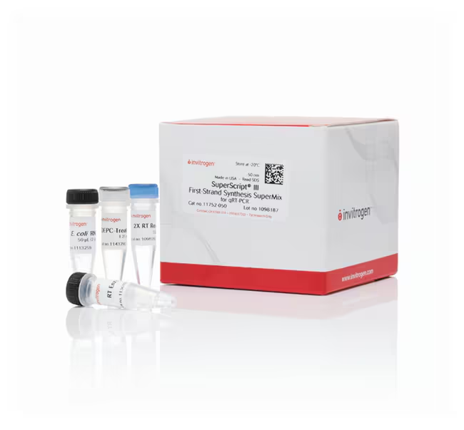 Смесь SuperScript III First-Strand Synthesis SuperMix for qRT-PCR