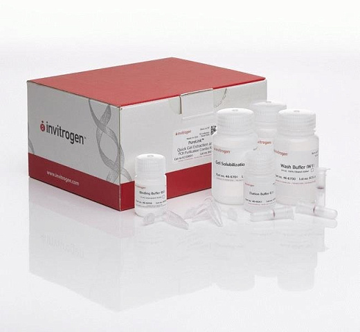 Набор PureLink Quick Gel Extraction and PCR Purification Combo Kit