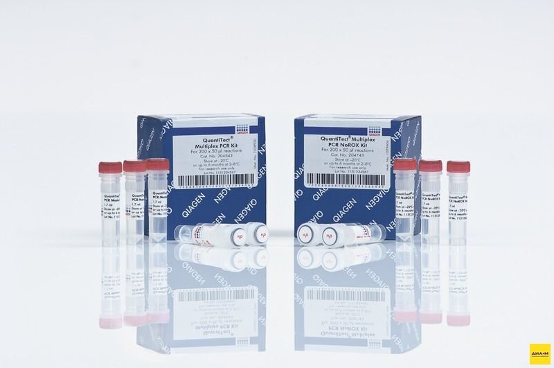 204741 Набор для количественной ПЦР в режиме реального времени QuantiTect Multiplex PCR NoROX Kit 40 реакций, Qiagen