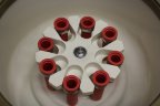 Heraeus Labofuge 300 Centrifuge