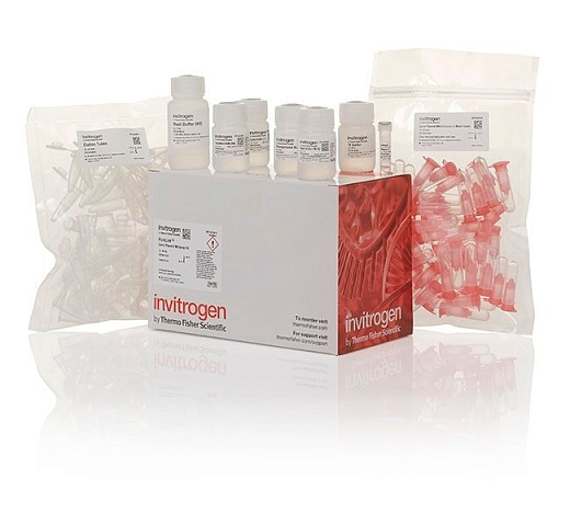 Набор PureLink Quick Plasmid Miniprep Kit