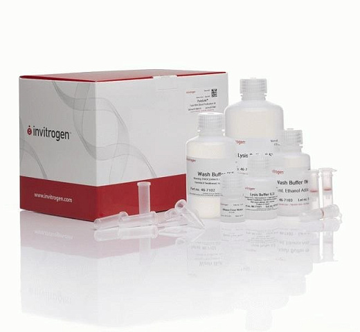 Набор PureLink Total RNA Blood Kit