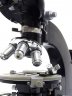 Ortholux polarization microscope