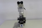 Carl Zeiss Axioskop 20 451487 Binocular Transmitted light microscope