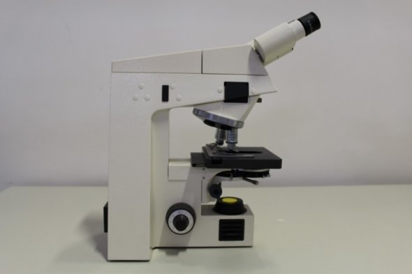 PROMOTION: Carl Zeiss Axioskop 20 EL-Einsatz 451487 Binocular Transmitted light microscope