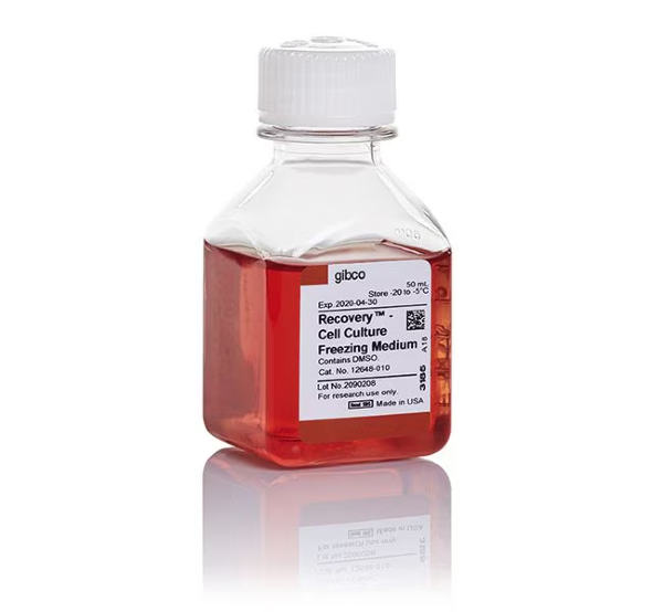 Среда для заморозки Recovery Cell Culture Freezing Medium