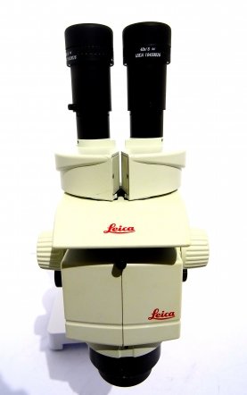 Leica M80 Binoculair Stereomicroscoop