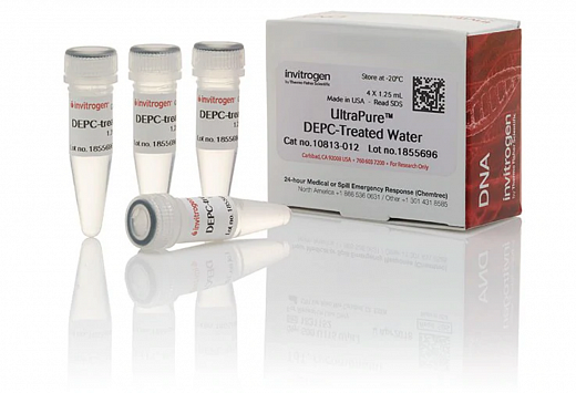 Вода UltraPure DEPC-treated Water