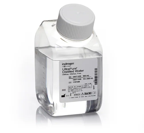 Вода UltraPure DNase/RNase-Free Distilled Water