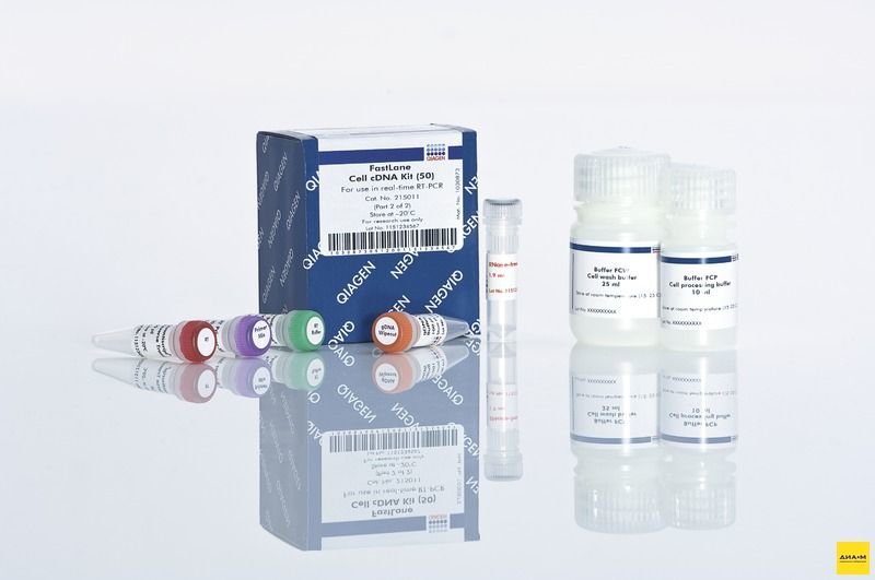 215011 Набор FastLane Cell cDNA Kit 50, Qiagen