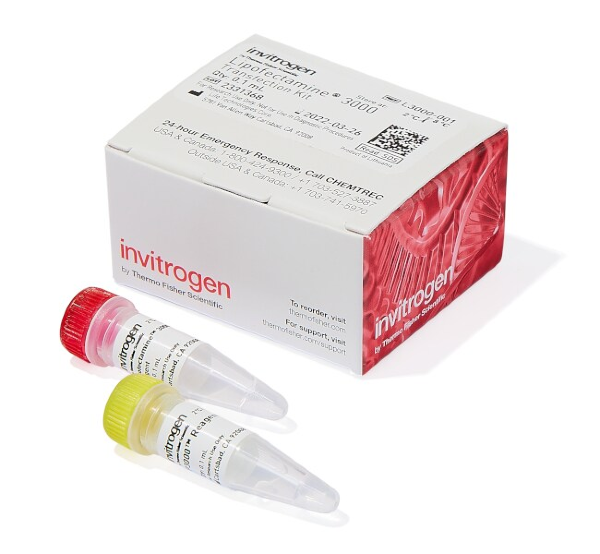 Липофектамин 3000, реагент для трансфекции, Lipofectamine