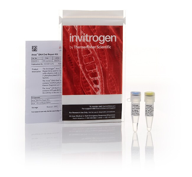 Набор Anza DNA End Repair Kit