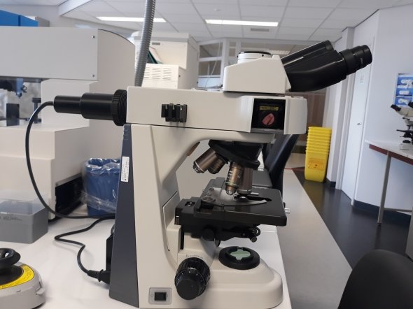 Nikon fluorescentiemicroscoop