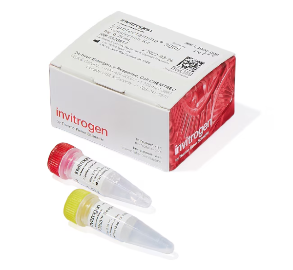 Липофектамин 3000, реагент для трансфекции, Lipofectamine