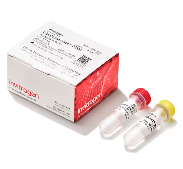 Липофектамин 3000, реагент для трансфекции, Lipofectamine