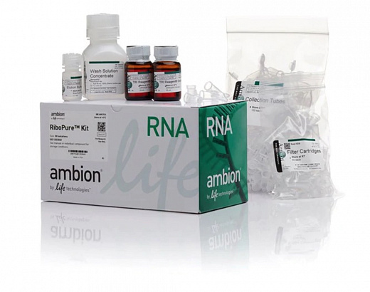 Набор RiboPure RNA Purification Ki