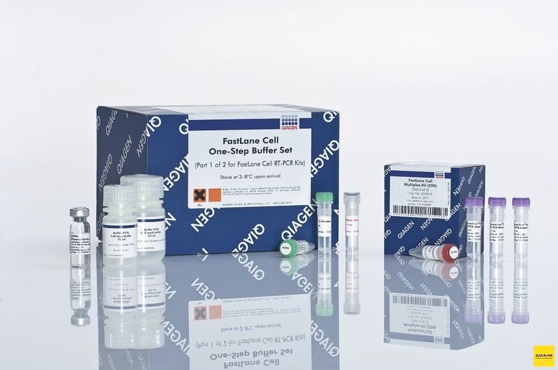 216713 Набор FastLane Cell Multiplex NR Kit 200 200 реакций, Qiagen