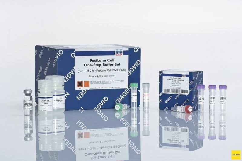 216213 Набор FastLane Cell SYBR Green Kit 200 реакций, Qiagen