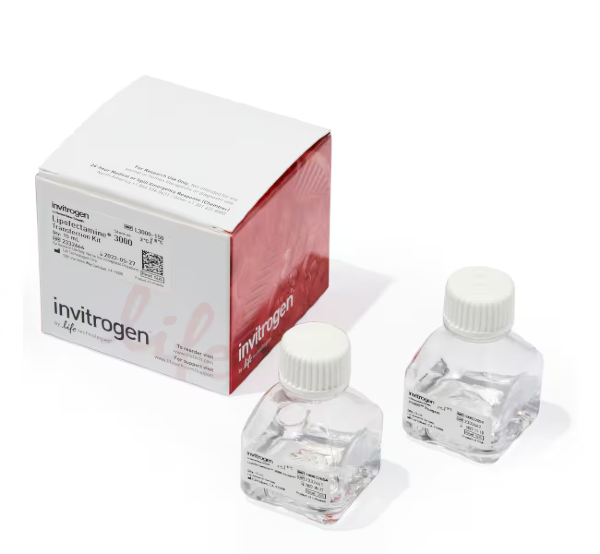 Липофектамин 3000, реагент для трансфекции, Lipofectamine