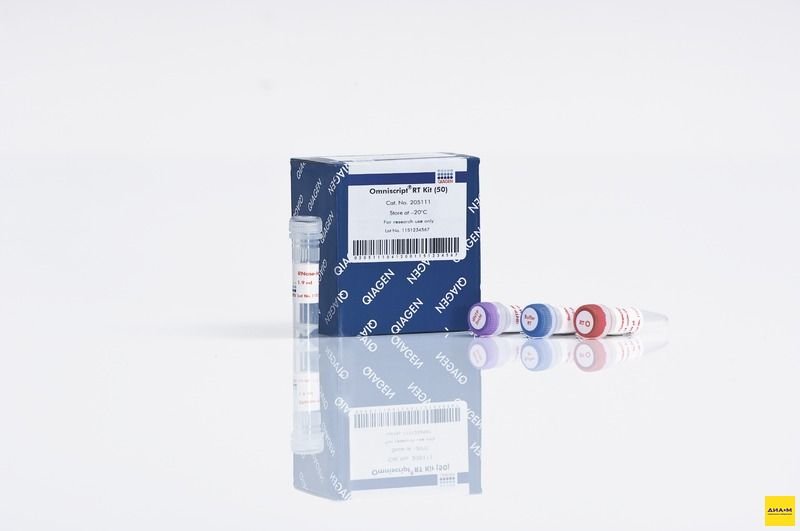 205111 Набор Omniscript RT Kit 50 реакций, Qiagen