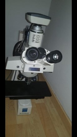  Zeiss Axioskop Transmitted Light Microscope