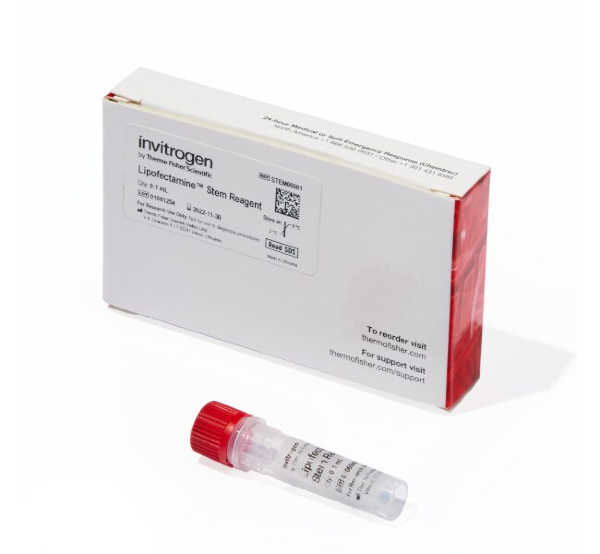 Липофектамин Lipofectamine Stem Transfection Reagent