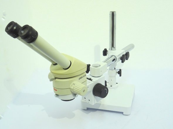 Leica MS 5 swivel arm and ergo head