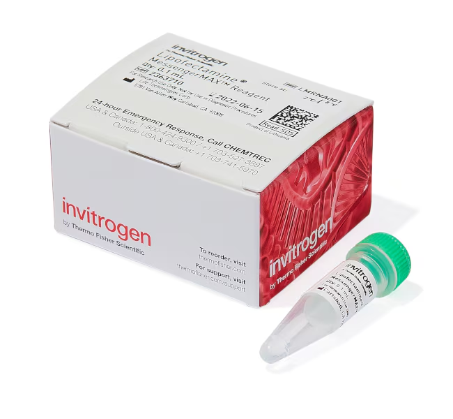 Липофектамин MessengerMAX Transfection Reagent