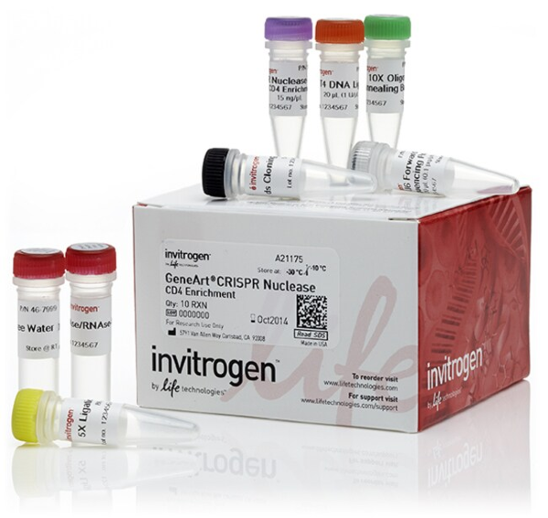 Набор GeneArt CRISPR Nuclease Vector with CD4 Enrichment Kit, 10 реак