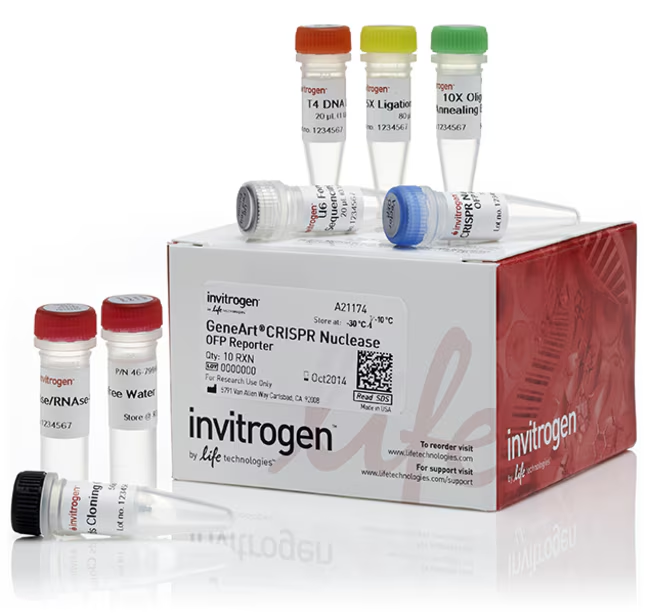 Набор GeneArt CRISPR Nuclease Vector with OFP Reporter Kit