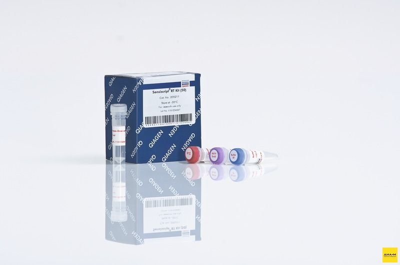205213 Набор Sensiscript RT Kit 200 реакций, Qiagen