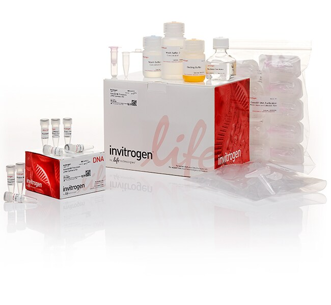 Набор GeneArt Precision gRNA Synthesis Kit