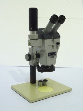 Zeiss Stemi SV8 Stereomicroscoop