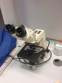 Zeiss microscoop