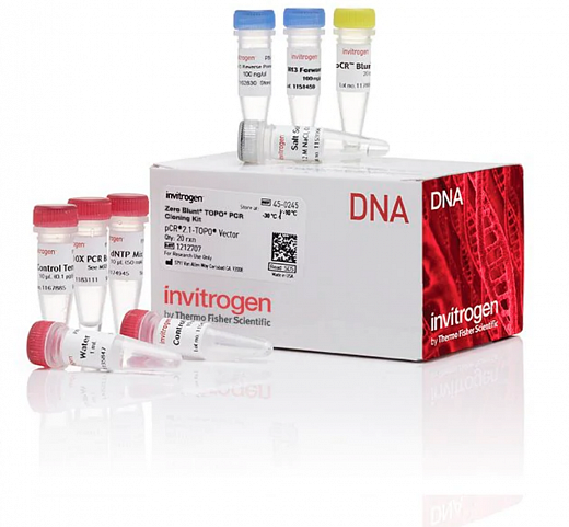 Набор для клонирования Zero Blunt TOPO PCR Cloning Kit, компетентные клетки не включены