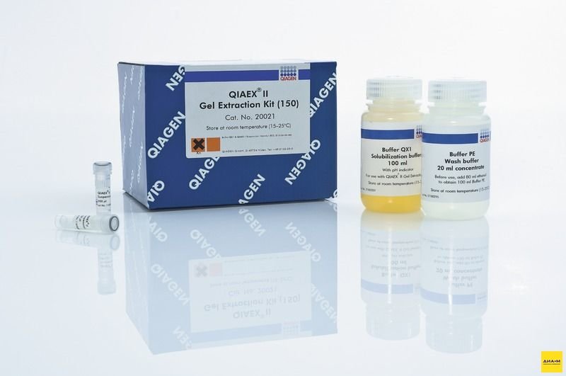  20051 Набор QIAEX II Gel Extraction для выделения ДНК из гелей 500 выделений, Qiagen