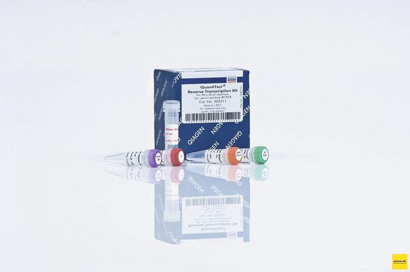 205310 Набор QuantiTect Rev. Transcription Kit 10 реакций, Qiagen