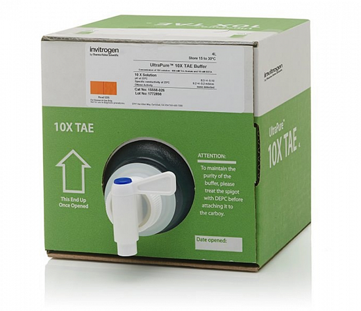 Буфер TAE (Трис-ацетат-ЭДТА), UltraPure, 10Х