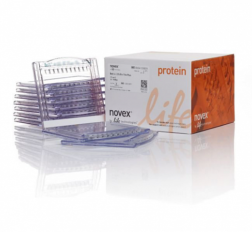 Гель полиакриламидный Bolt Bis-Tris Mini Protein Gel, 8 х 8 см, 15 лунок, 12%