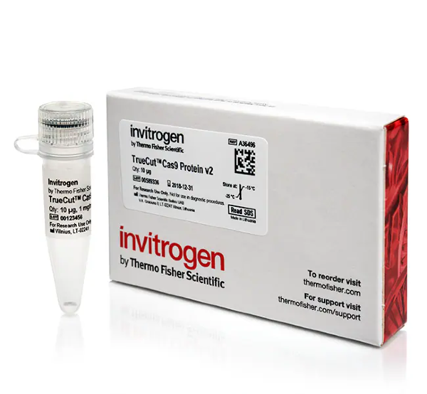 Нуклеаза TrueCut Cas9 Protein v2 (1 mg/mL)