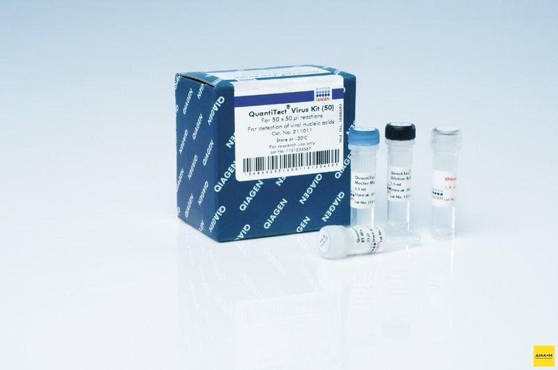 211031 Набор QuantiTect Virus +ROX Vial Kit 50 реакций, Qiagen