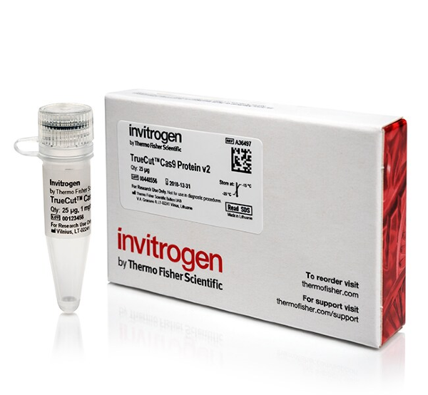 Нуклеаза TrueCut Cas9 Protein v2 (1 mg/mL)
