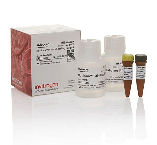 Реагент No-Stain™ Protein Labeling Reagent, 40 реакций