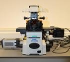 Nikon Eclipse microscoop