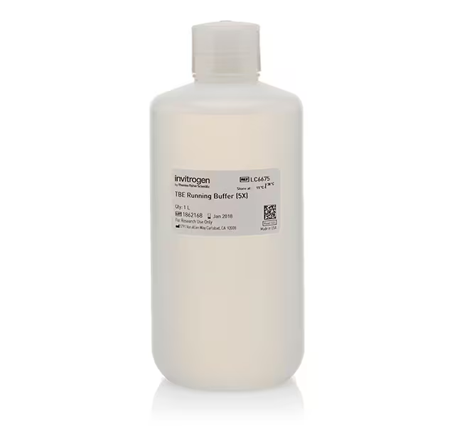 Буфер TBE (Трис-борат-ЭДТА), Novex, электродный, 5Х